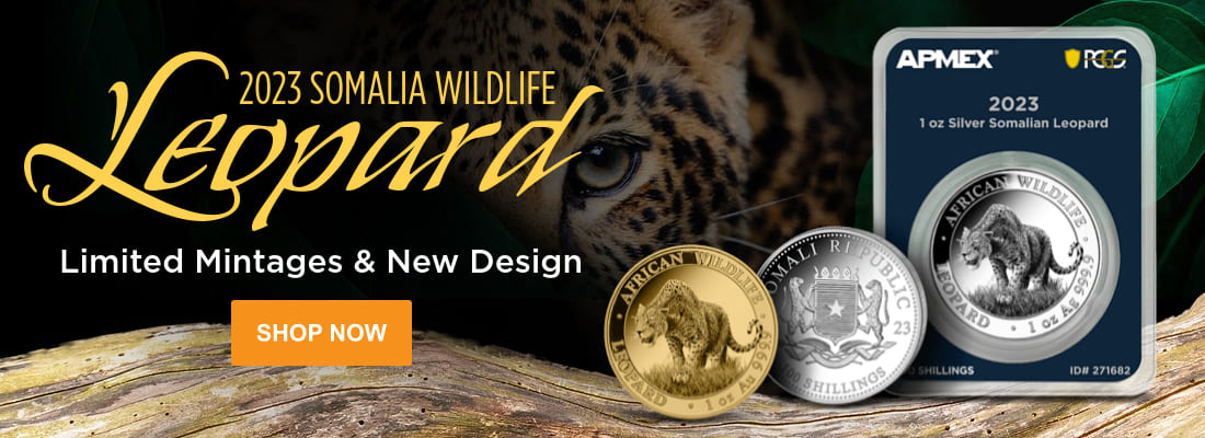 Somalia Wildlife Leopard