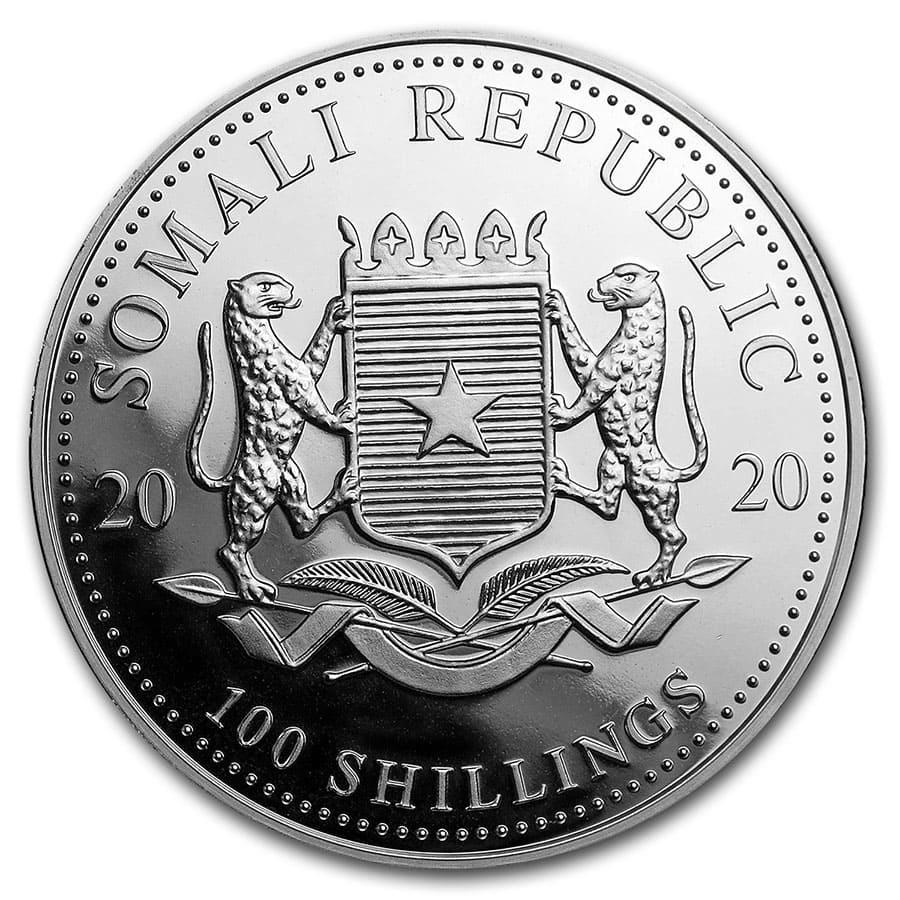 SKU#200145 2020 Somalia 1//10 oz Silver Elephant BU