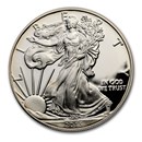 2013-W 1 oz Proof American Silver Eagle (Capsule Only)