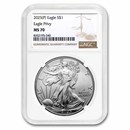 2025-(P) American Silver Eagle (Eagle Privy) MS-70 NGC