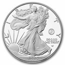 2025-P 1 oz Proof American Silver Eagle (Marine Privy)