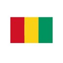 guinea-gold-silver-coins-currency