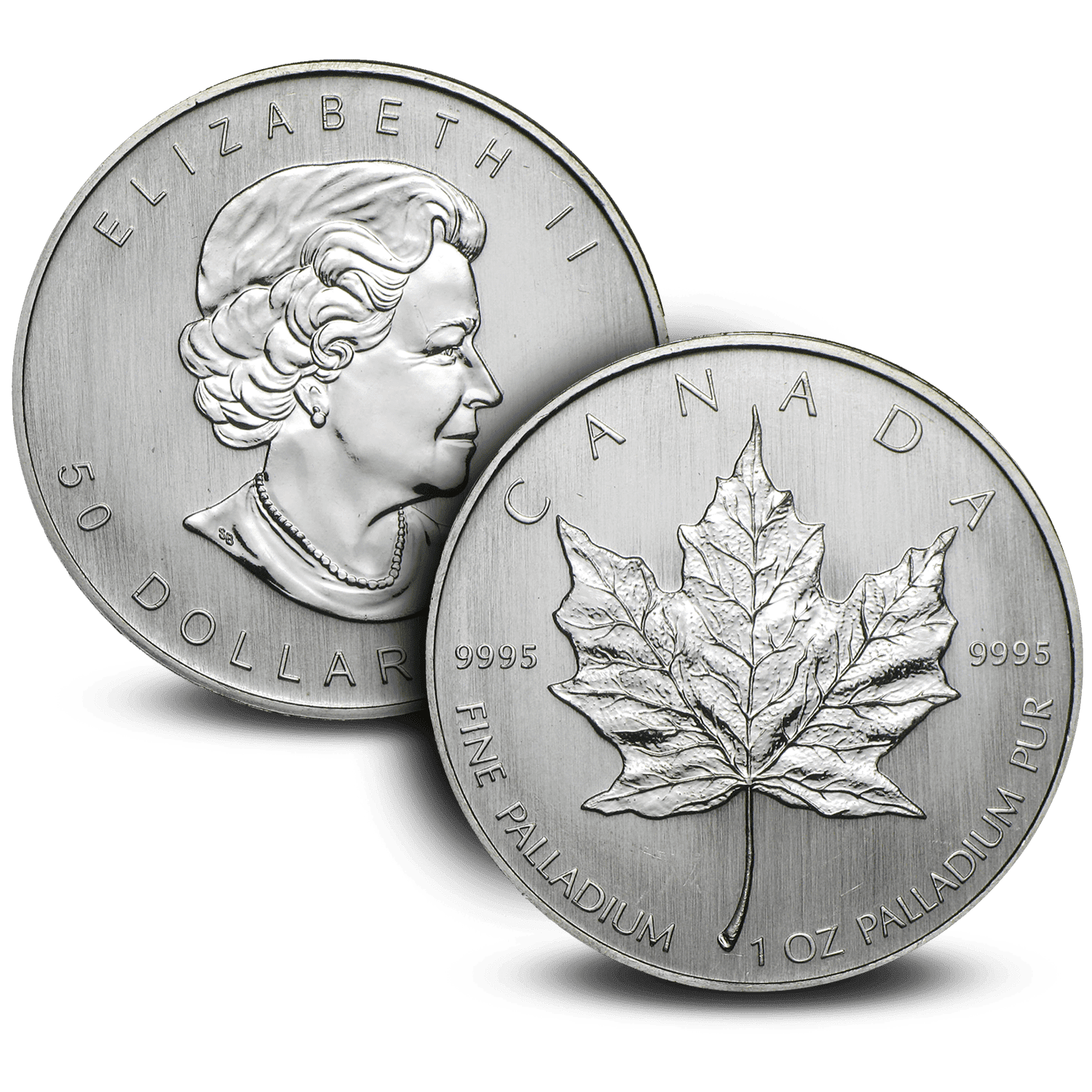 Buy 2009 Canadian 1 oz Palladium Maple Leaf BU | APMEX