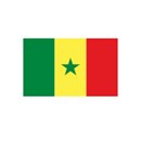 senegal-gold-silver-coins-currency
