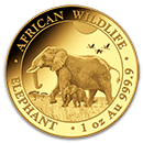 somalian-gold-elephants