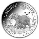somalian-silver-elephant-leopard-coins