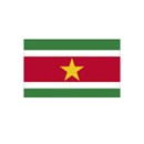 suriname-gold-silver-coins-currency