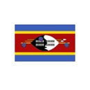 swaziland-gold-silver-coins-currency