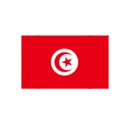 tunisia-gold-silver-coins-currency