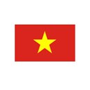 vietnam-gold-silver-coins-currency