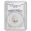 1/10 oz Proof American Platinum Eagle PR/PF-69 PCGS/NGC (Random)
