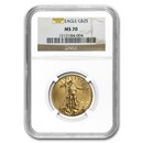 1/2 oz American Gold Eagle MS-70 NGC (Random Year)