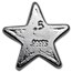 1/2 oz Hand Poured Silver Star - YPS