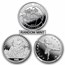 1/4 oz Platinum Coin - Random Mint