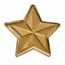 1 gram Gold Star - South Korea (Christmas Assay)