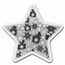 1 gram Silver Star - 2023 Merry Christmas Ornament