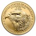 1 oz American Gold Eagle Coin BU (Random Year)