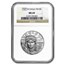 1 oz American Platinum Eagle MS-69 NGC (Random Year)