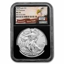 1 oz American Silver Eagle MS-70 NGC (Random Year, ER/FR)