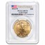 1 oz Burnished American Gold Eagle MS-70 PCGS (Random Year)