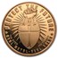 1 oz Copper Round - Bullion Not Bits
