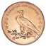 1 oz Copper Round - Incuse Indian