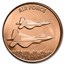 1 oz Copper Round - US Air Force: F-22 Raptor