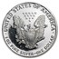 1 oz Proof American Silver Eagle (Capsule Only)