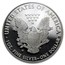 1 oz Proof American Silver Eagle PR-70 NGC/PCGS (Random, Spotted)
