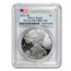 1 oz Proof American Silver Eagle PR-70 NGC/PCGS (Random, Spotted)
