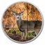 1 oz Silver Round - Gun & Rod (Deer) Colorized w/ TEP