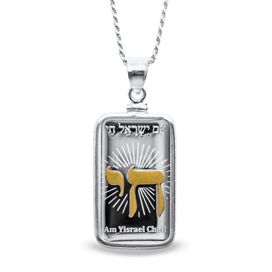 10 gram Silver - PAMP Israel Gilded Pendant (w/Chain) 10 gram Silver - PAMP Israel Gilded Pendant (w/Chain)