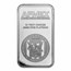 10 oz Platinum Bar - APMEX (In TEP)