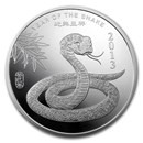 10 oz Silver Round - APMEX (2013 Year of the Snake)