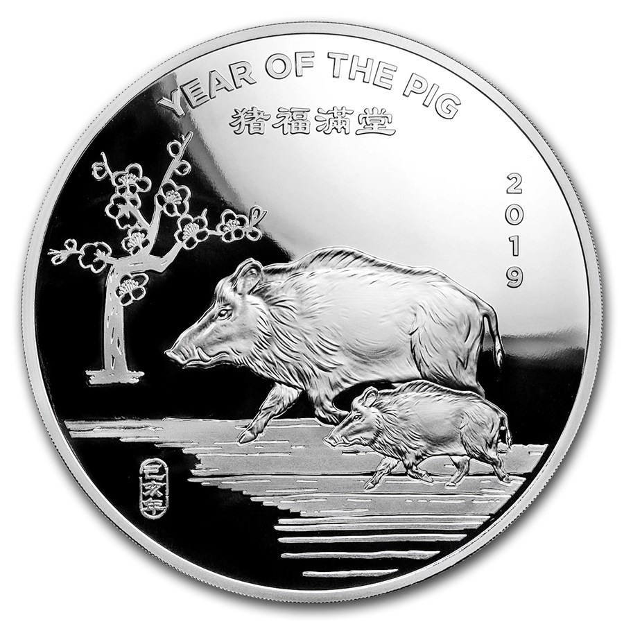 10 oz Silver Round - APMEX (2019 Year of the Pig)