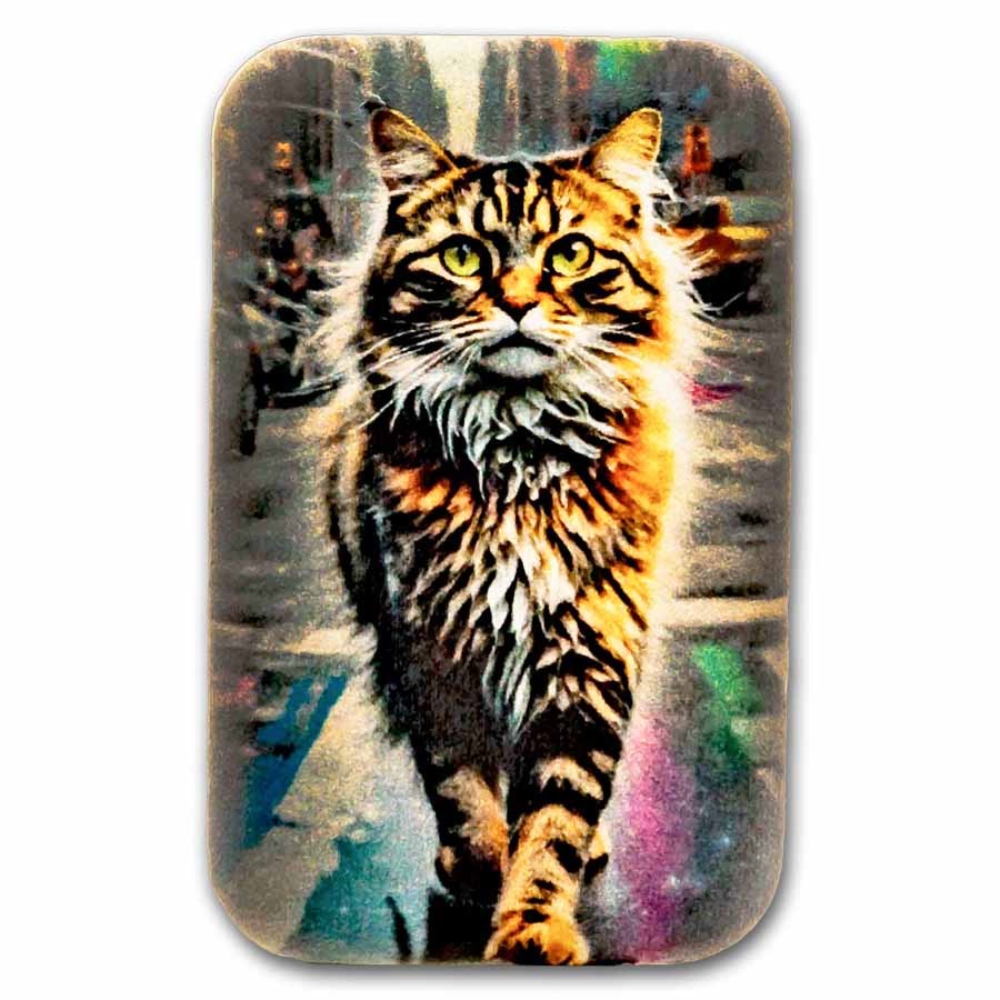 100 gram Silver Bar Orange American Shorthair in New York City