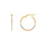 10K Tri Color Gold Polished DC Hoop Earrings