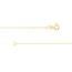 10K Yellow Gold 0.55 mm Box Chain with Spring Ring Clasp - 18in.
