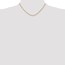 10K Yellow Gold 2.5mm Semi-Solid Rope Chain - 16 in.