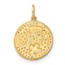 10K Yellow Gold CZ Good Luck Medallion Charm - 17.8 mm