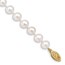 10K Yellow Gold White Near Round Cultured Pearl Necklace - 16 in.