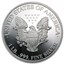 12 oz Silver Round - American Silver Eagle (Random Year)