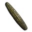 1354-1707 Kingdom of Lan Xang Tiger Tongue Silver Bar