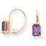 14k 7x5 mm Emerald Cut Amethyst Leverback Earrings
