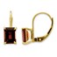 14k 7x5 mm Emerald Cut Garnet Leverback Earrings