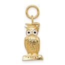 14k Gold Graduation Owl Charm with Enamel