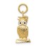 14k Gold Graduation Owl Charm with Enamel
