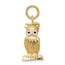 14k Gold Graduation Owl Charm with Enamel
