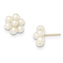 14k Medium Egg White Cultured Pearl Flower Earrings