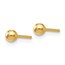 14K Polished 3mm Ball Post Earrings - 3 mm
